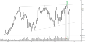 GOOGLE, ¿Peligro u oportunidad?