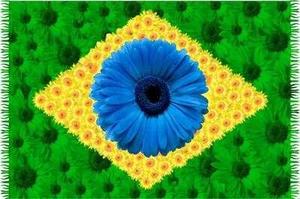 La fragilidad de Brasil