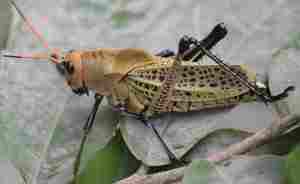 Sistema sanitario español: retrato, medidas decretadas por el Gobierno y propuestas alternativas (Primera parte)