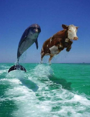 El sueño imposible europeo