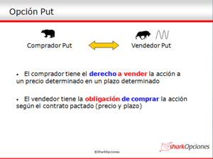 Lección Básica: Asignación y Ejecución de Opciones