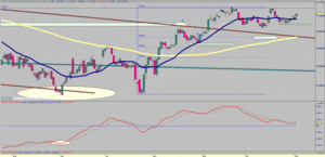 Visión del Ibex: Del 05/11/12 al 11/11/12