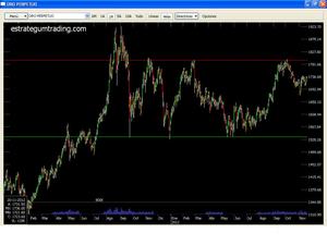 El rectángulo áureo