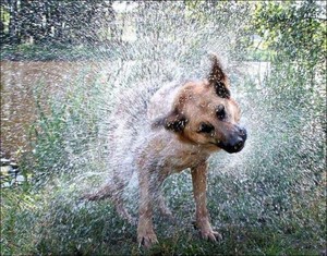 Seguimiento Portfolio - Noviembre