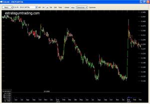 La Mulata Cubana viaja por Italia