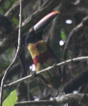 Una propuesta integral sobre los préstamos, las ejecuciones hipotecarias o desahucios y el sobreendeudamiento familiar.