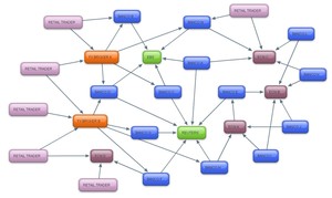 Principales participantes en el mercado Forex