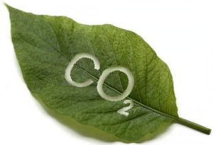 CFD: ¿Sobre qué subyacentes puedo encontrar?