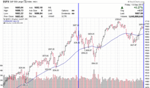 Fin Seguimiento Portfolio Monster