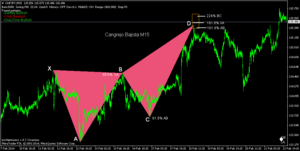  Operativa con el Patrón Cangrejo