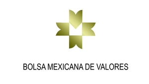 Bolsa Mexicana de Valores (BMV)