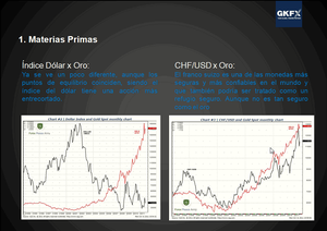 Correlación en los mercados: acciones, materias primas y otras correlaciones: Grabación Webinar