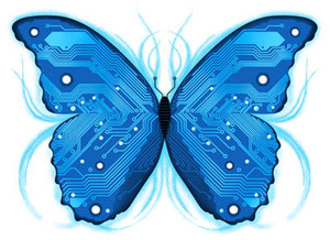 Sesión práctica con Butterflies en mercado real.