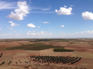 Cursos con Ferrán (III): Masnou Institute Of Technology,Ahora Ya Eres Profesional