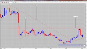 Operativa 006 con Harina de Soja