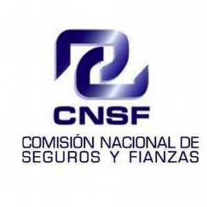Comisión Nacional de Seguros y Fianzas (CNSF)