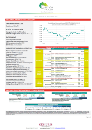 Carta Mensual Gestión del Ciclo FI (noviembre)