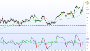 Revisión de Viscofan - Enero 2015