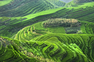 7 Países + 7 ETF para invertir a Largo Plazo...