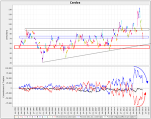 Análisis del futuro Lean Hogs