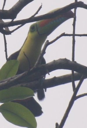 Más sentencias que acuerdan la nulidad de la compra de acciones de Bankia y plazo para reclamar