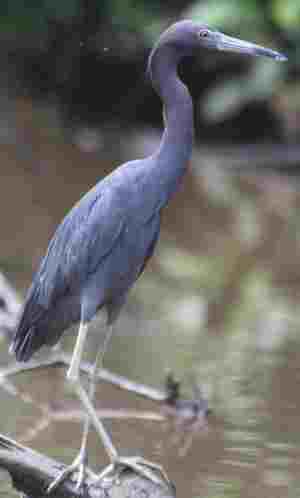 Nuevas sentencias del Tribunal Supremo sobre la nulidad de la cláusula suelo y su efecto retroactivo