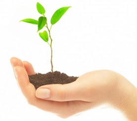 La Importancia de Invertir a Largo Plazo