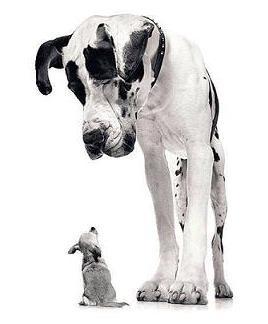 ¿Por qué perdemos cuando aumentamos nuestras posiciones?