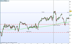 Cuando también las cosas salen mal - diario de una pérdida