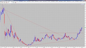 ¿Último tren de la operativa 006 con Harina de Soja?
