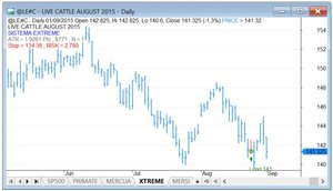 Comienza la Cartera 915