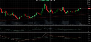 ¿Repetirá patrón el EUR/USD?