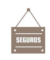 Tips para principiantes: ¿Qué hay que saber sobre los seguros?