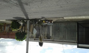 Costa Rica: Maravillas modernas de la ingeniería costarricense (I)