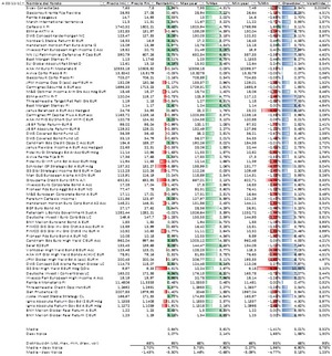 Conecta Gap 2013, una Sicav en plena forma