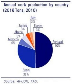 Análisis de Corticiera Amorim, empresa portuguesa del sector del corcho