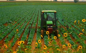 Mi Camino como Trader (por Antonio)