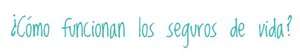 ¿Cómo funcionan los seguros de vida?
