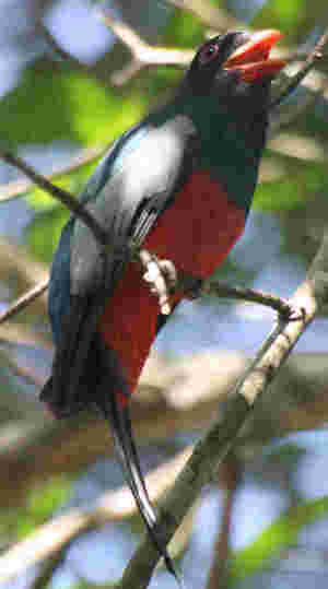 El Pleno del Tribunal Supremo confirma la nulidad de las compras de acciones de Bankia