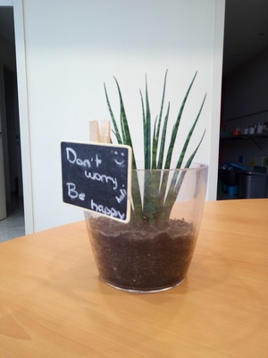 Umi Touch 4G: 4000 mAh y 3 GB RAM. ¿Competirá con el Xiaomi RedMi 3? 