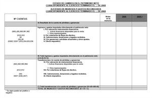 Cuentas Anuales Capítulo 4: Estado de Cambios en el Patrimonio Neto