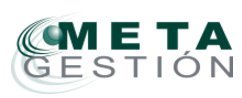 Metagestión