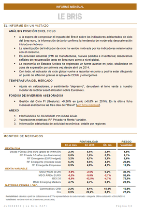 Informe Mensual LeBris EAFI (junio 2016)
