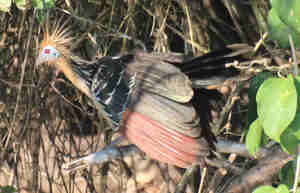 Comentario a las conclusiones del Abogado General sobre la retroactividad de la nulidad de la cláusula suelo