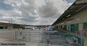 Subasteros sin fronteras que triunfan en USA