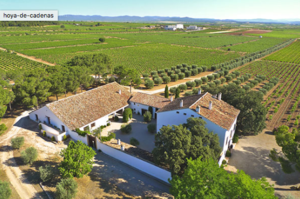 Quedada foreros de Rankia 29 de octubre en las Bodegas Hoya de Cadenas