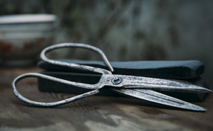 Se acabaron las elecciones, vuelve el tijeretazo