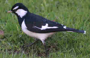 Invalidez de la renuncia a reclamar la devolución de cantidades cuando se firma acuerdo para elimina el suelo