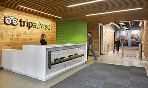 El beneficio de TripAdvisor Inc cae un 67% en 2016