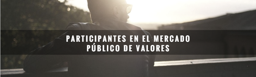 Participantes en el mercado público de valores